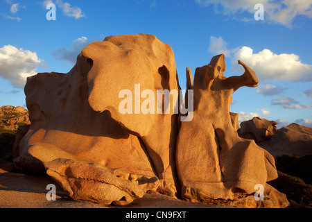 France, Corse du Sud, le Cap de Roccapina Banque D'Images