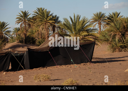 Tentes nomades Berbères traditionnels fabriqués à partir de poils de chameau, ficelle le sud du maroc, Désert du Sahara en Afrique. Banque D'Images