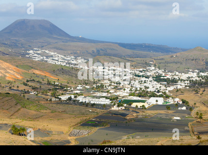 Lanzarote, Îles Canaries - Haria, la vallée des Mille Palmiers. Banque D'Images