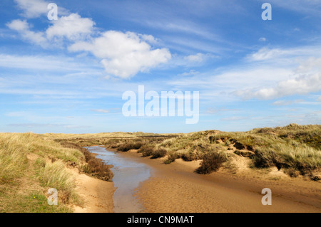 Holme Dunes Nature Reserve, Norfolk, England, UK Banque D'Images