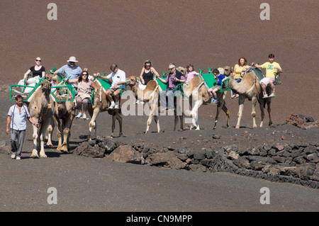 Lanzarote, Îles Canaries - parc national des volcans de Timanfaya et centre d'zone. Randonnée chamelière à travers des champs de lave. Banque D'Images