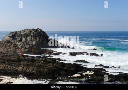 Otter Trail, le parc national de Tsitsikamma, Eastern Cape, Afrique du Sud Banque D'Images