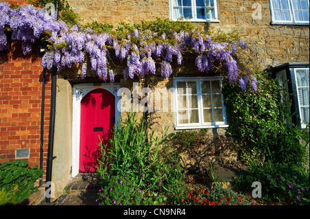 Chalets Ville de glycine poussent sur eux. High Street, Buckingham Bucks Banque D'Images