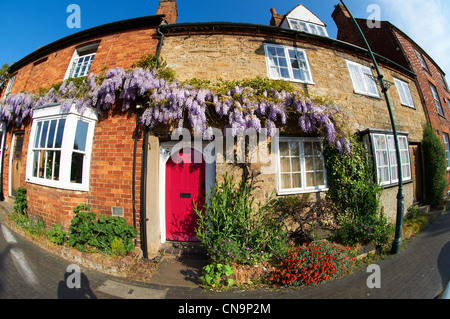 Chalets Ville de glycine poussent sur eux. High Street, Buckingham Bucks Banque D'Images