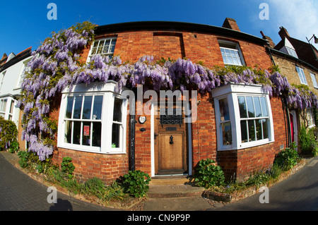 Chalets Ville de glycine poussent sur eux. High Street, Buckingham Bucks Banque D'Images