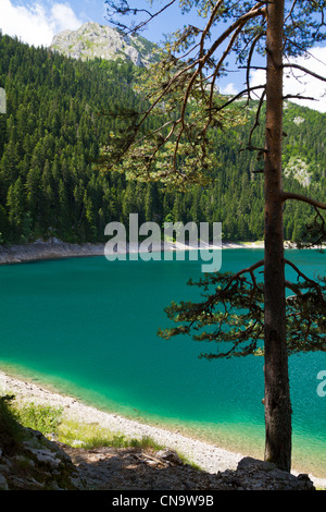 Le Monténégro, Zabljak, parc national de Durmitor, le Crno Jezero (Lac Noir) Banque D'Images