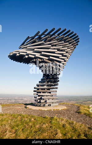 Sonnerie chant Tree Crown Point, Burnley Banque D'Images