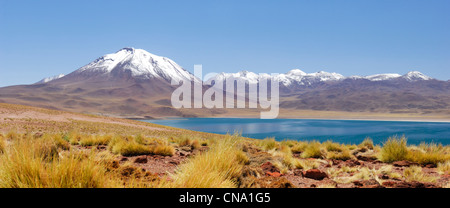 Région d'Antofagasta, Chili, Désert d'Atacama, lagune Miscanti et Miniques lagune Miscanti, à 4200 mètres d'altitude dans les Andes Banque D'Images
