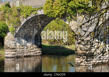 Un vieux pont de pierre sur la rivière Banque D'Images