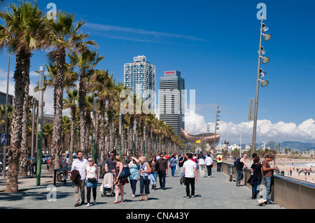 Espagne, Catalogne, Barcelone, La plage de Barceloneta, l'hôtel Arts et la Tour Mapfre, dans l'arrière-plan la Peix ou la Ballena Banque D'Images
