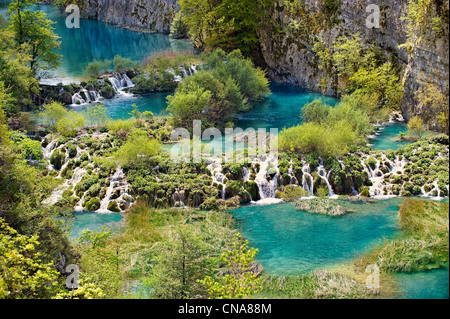 L'eau minérale de Plitvice Lacs et chutes d'eau. Les lacs de Plitvice (Parc National Plitvička ), la Croatie. Site du patrimoine mondial de l'UNESCO Banque D'Images