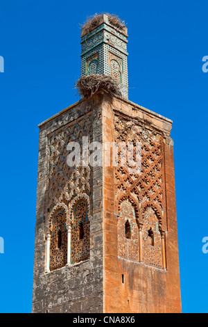 Maroc, Rabat, mosquée de l'ancien sanctuaire musulman de Chellah Banque D'Images