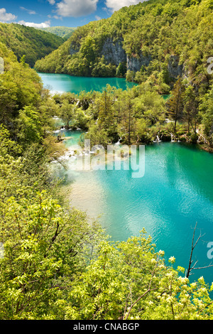 L'eau minérale de Plitvice Lakes . Les lacs de Plitvice (Parc National Plitvička ), la Croatie. Site du patrimoine mondial de l'UNESCO Banque D'Images