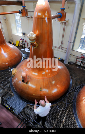 Royaume-uni, Ecosse, îles Orcades, Kirkwall, distillerie de whisky Highland Park, se laver en cuivre alambics de distillation Banque D'Images