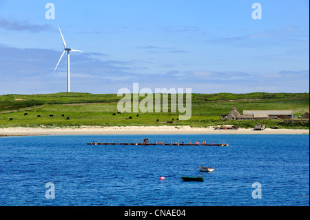 Royaume-uni, Ecosse, Orkney Islands, Île de Burray, Baie de Weddell et éolienne Banque D'Images