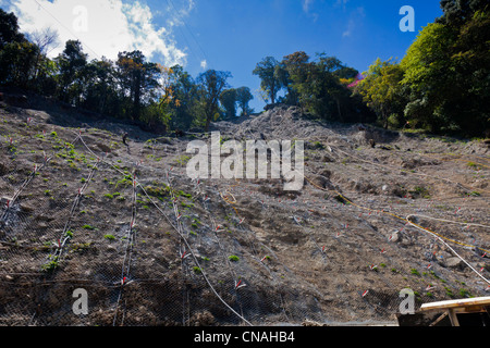 Site de l'éboulement à réparer sur la Route 21 Route Paysage Yushan à Taiwan. JMH5909 Banque D'Images