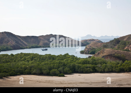 Un indonésien Pinisi goélette incombe à l'ancre dans une baie sur la côte de l'île de Komodo et le parc national de Komodo. Komodo, Indonésie Banque D'Images