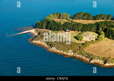 France, Morbihan, Golfe du Morbihan, l'Ile de Gavrinis, cairn sur l'île (vue aérienne) Banque D'Images