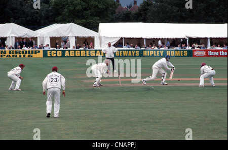 Le Cricket à Colchester Banque D'Images