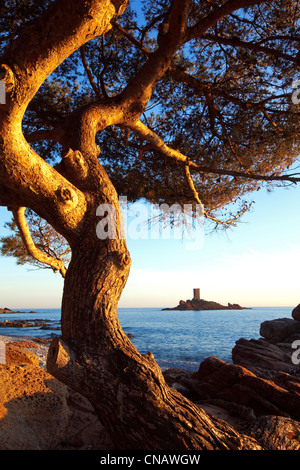 La France, Var, Corniche del'Esterel, à Saint Raphael, Ile d'Or et sa tour a été construite au 19ème siècle du Cap du Dramont Banque D'Images