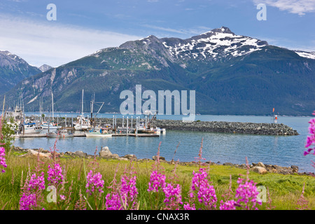 Vue panoramique sur le port Bateau Haines avec Mt. Ripinski dans l'arrière-plan, Haines, sud-est de l'Alaska, l'été Banque D'Images