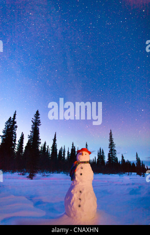 Snowman,COMPOSITE debout dans un champ, au crépuscule, l'hiver, col large, Parcs Autoroute, Southcentral Alaska Banque D'Images