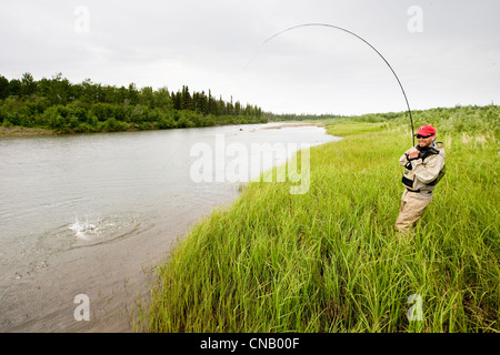 Combat un pêcheur à la mouche du saumon sur la rivière Mulchatna dans la région de la baie de Bristol, sud-ouest de l'Alaska, l'été Banque D'Images