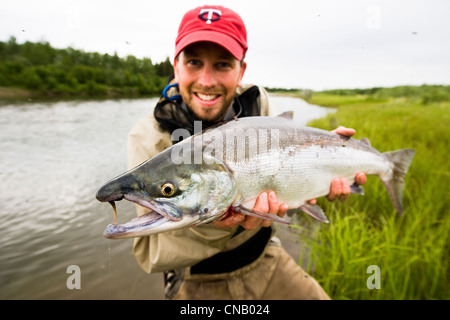 Pêcheur de mouche est titulaire d'un saumon rouge sur la Mulchatna River dans la région de la baie de Bristol, sud-ouest de l'Alaska, l'été Banque D'Images