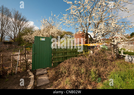 Allotissement urbain jardin à Norwich, Norfolk, Angleterre Banque D'Images