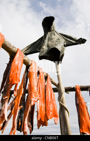 Repas pris le saumon Sockeye de Bristol Bay récoltés dans la rivière Newhalen séchant sur un rack, sud-ouest de l'Alaska, l'été Banque D'Images