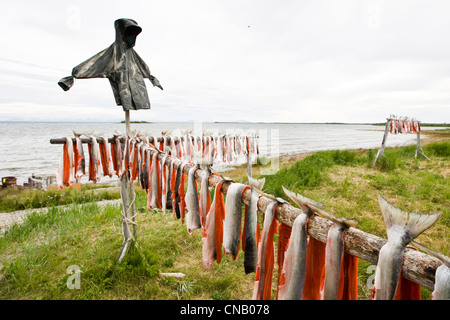 Repas pris le saumon Sockeye de Bristol Bay récoltés dans la rivière Newhalen séchant sur un rack, sud-ouest de l'Alaska, l'été Banque D'Images