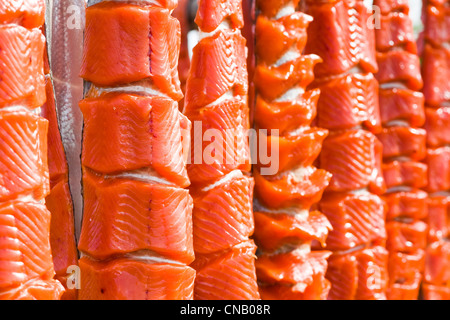 Repas pris le saumon Sockeye de Bristol Bay sur un rack de séchage, Iliamna, sud-ouest de l'Alaska, l'été Banque D'Images