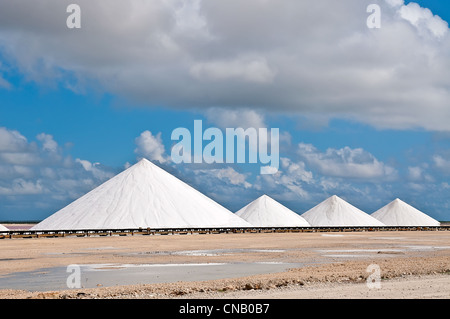 Les montagnes de sel. Extraction de sel sur l'île de Bonaire, Antilles françaises, Caraïbes. Banque D'Images