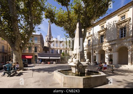 France, Bouches du Rhone, Alpilles, Saint Rémy de Provence, Place Pelissier, de l'hôtel de ville et la fontaine Banque D'Images