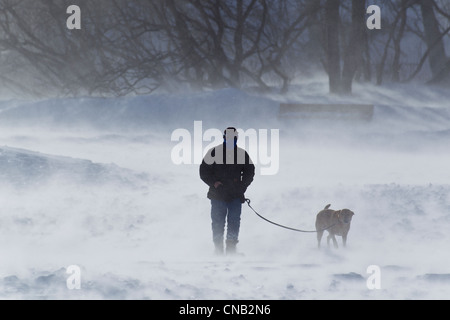 Des vents de 70 km/h sur un matin d'hiver comme un homme promène son chien le long d'une plage de sable, l'île Douglas, Juneau, Alaska, Winter Banque D'Images