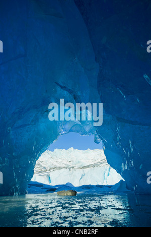 Vue depuis l'intérieur d'une grotte de glace d'un iceberg dans le lac gelé de Mendenhall, Juneau, Alaska du Sud-Est, l'hiver Banque D'Images