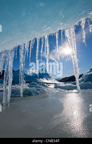 Soleil brille à travers les glaçons suspendus au bord d'un iceberg dans la surface gelée du lac Mendenhall, Alaska Banque D'Images