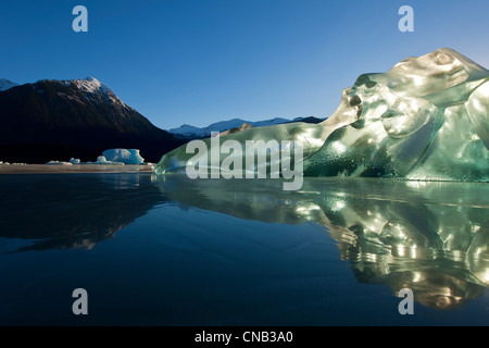 Un iceberg, piégés dans l'eaux gelées du lac Mendenhall éclatante et d'un rétro-éclairage par le soleil du matin, Juneau, Alaska, Winter Banque D'Images