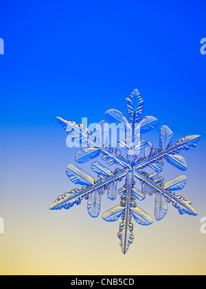 Vue au microscope-Photo d'un flocon de neige avec une forme d'étoile Banque D'Images