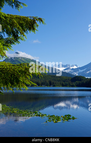 Vue panoramique sur le lac et le glacier de Mendenhall Auke et montagnes de la chaîne côtière, le sud-est de l'Alaska, l'été Banque D'Images