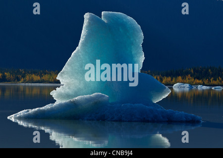 Les icebergs flottent à la surface calme du lac Mendenhall Glacier, Mendenhall, Juneau, Alaska du Sud-Est, l'automne Banque D'Images