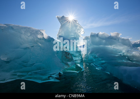 Un iceberg flottant sur les eaux calmes de Holkham Bay à l'entrée de Tracy Arm, le sud-est de l'Alaska, l'automne Banque D'Images