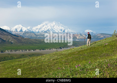 Man randonnée sur la toundra à Thorofare Passer avec Mt. McKinley dans l'arrière-plan, l'intérieur de l'Alaska, l'été Banque D'Images