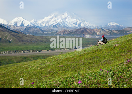 Man randonnée sur la toundra à Thorofare Passer avec Mt. McKinley dans l'arrière-plan, l'intérieur de l'Alaska, l'été Banque D'Images