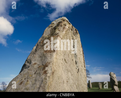 Quadrant SW WI Avebury Détail de standing stone Banque D'Images