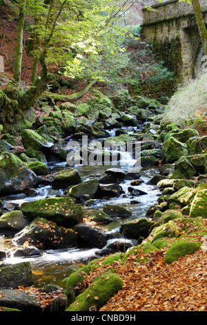 France, Limousin, Parc Naturel Régional de Millevaches (Parc Naturel Régional de Millevaches), à l'automne de la rivière Vézère Banque D'Images