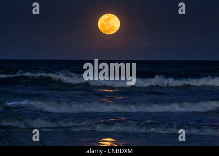 Pleine lune sur l'océan Atlantique à partir de la plage sur l'île de Hilton Head en Caroline du Sud par Jim Crotty Banque D'Images