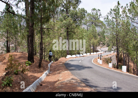 Jeune fille sur une route de montagne dans le Nord de l'état indien de l'Uttaranchal, au moyen de Lansdowne. Marqueurs blancs sur le côté. Banque D'Images