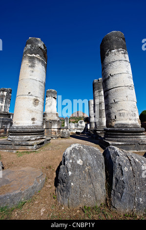 Temple d'Artimis Sardes, à l'origine le quatrième plus grand Temple Ionique Lorsqu'il a été construit en 300 av. J.-C. Turquie Banque D'Images