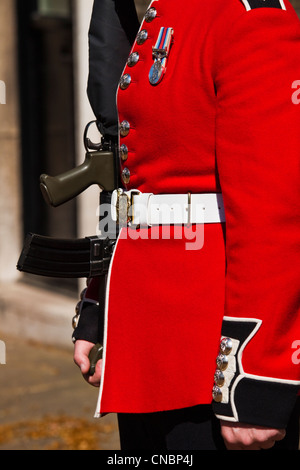 Guardsman irlandais à Clarence House Banque D'Images